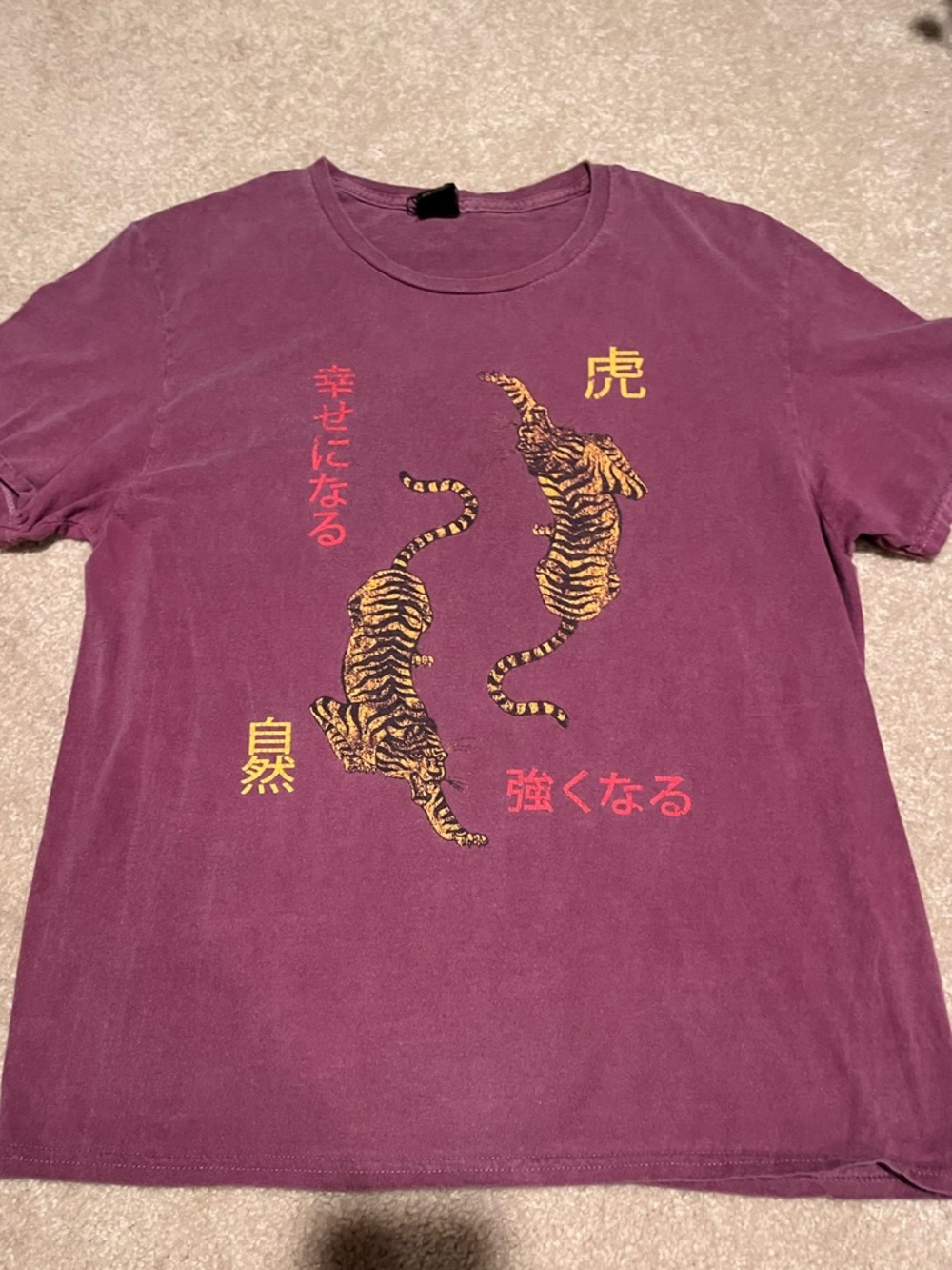 Urban Outfitters pipeline Plum Crewneck Tee